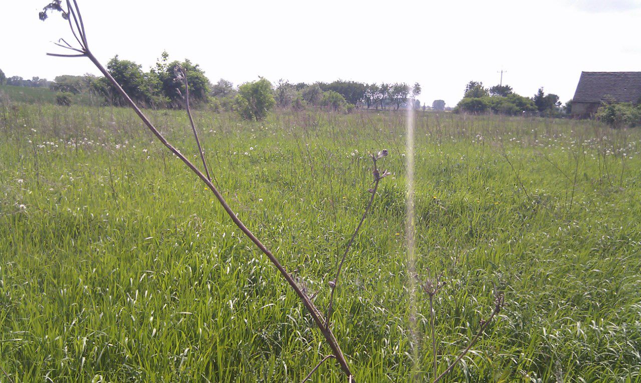 Działka rolno-budowlana Parsów. Zdjęcie 3